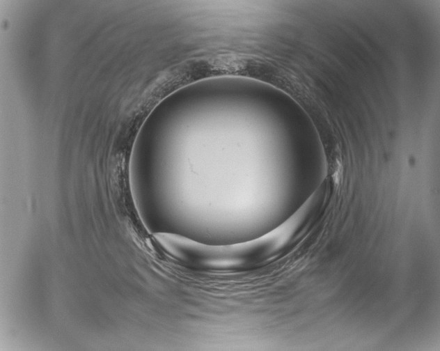 X0000054470229200507291355