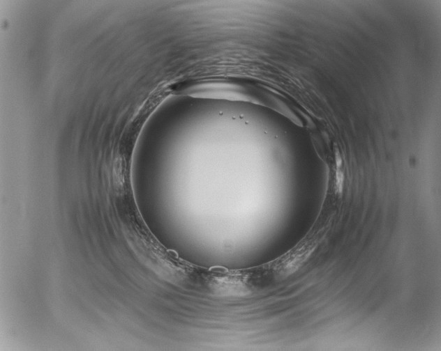 X0000054470232200507291355