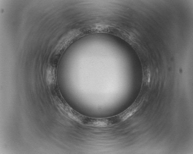 X0000054470236200507291355