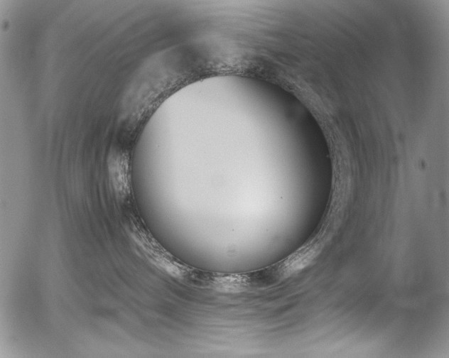X0000054470240200507291355