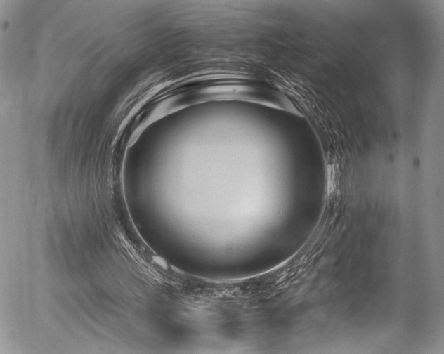 X0000054470243200507291354
