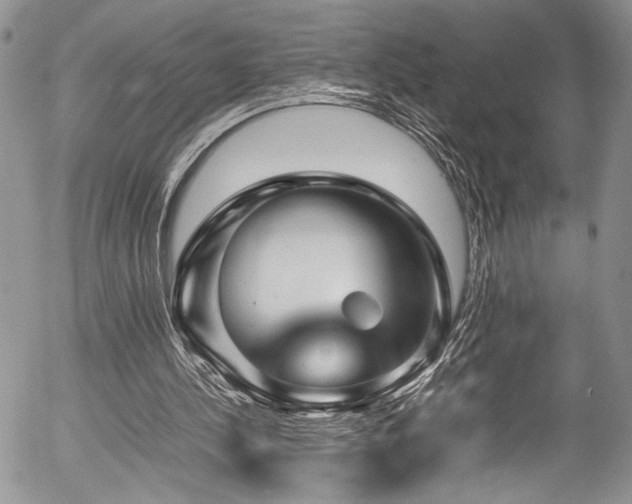 X0000054470244200507291354