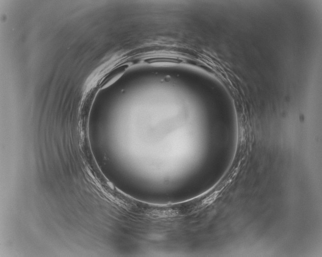 X0000054470245200507291354