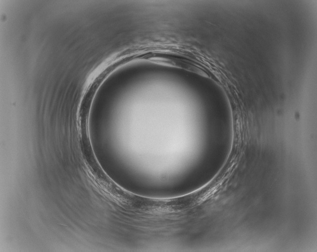 X0000054470246200507291354