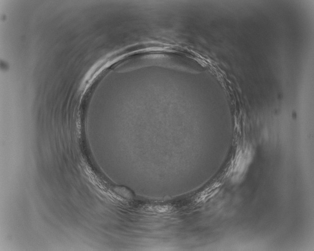 X0000054470247200507291354