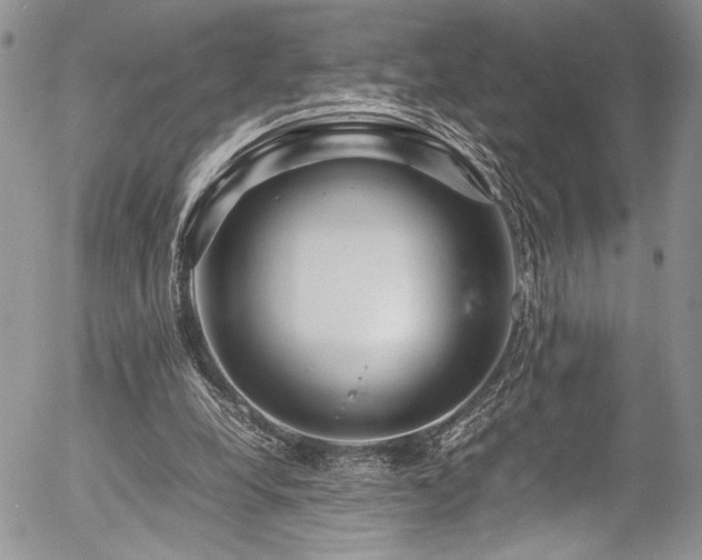 X0000054470248200507291354