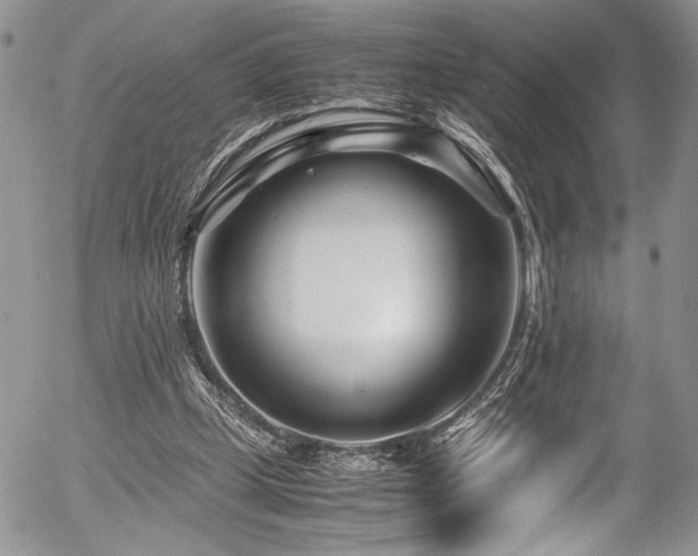 X0000054470249200507291354