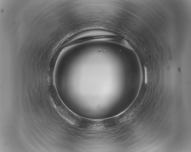 X0000054470252200507291354