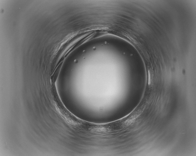 X0000054470253200507291354