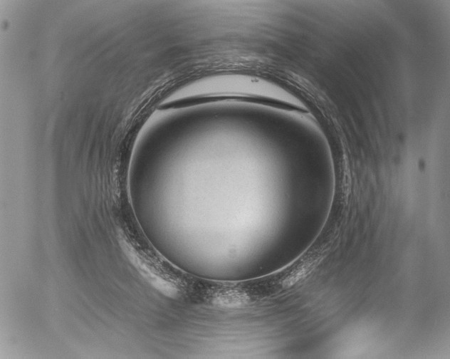 X0000054470258200507291354
