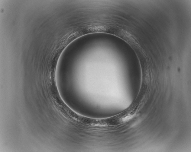 X0000054470259200507291354