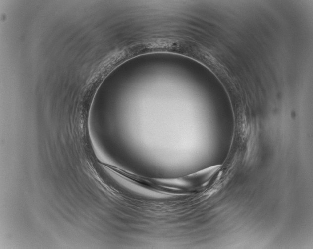X0000054470261200507291354