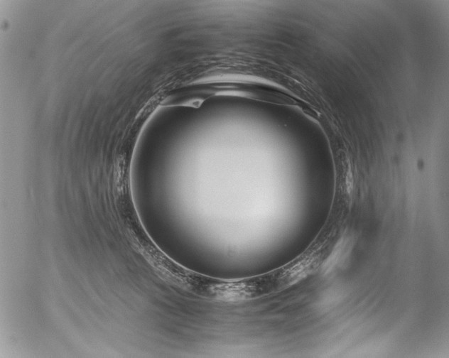 X0000054470273200507291355