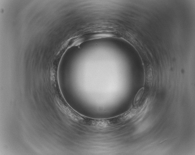 X0000054470282200507291355