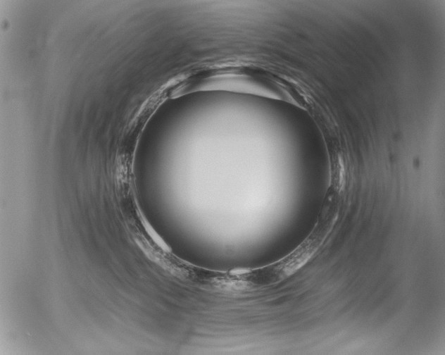 X0000054470284200507291355