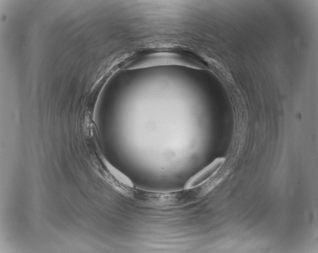 X0000054470288200507291355
