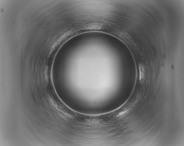X0000054470300200507291354