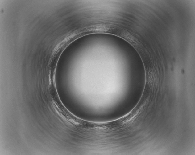 X0000054470302200507291354
