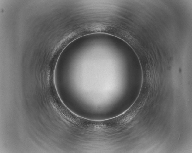 X0000054470304200507291354