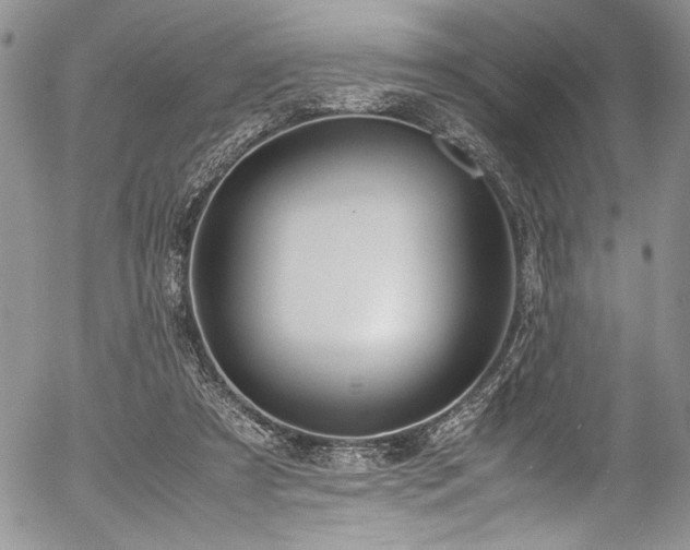 X0000054470305200507291354