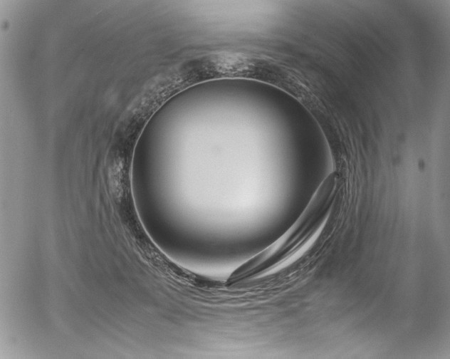 X0000054470319200507291354