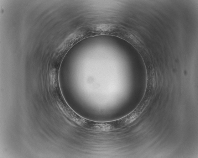 X0000054470328200507291353