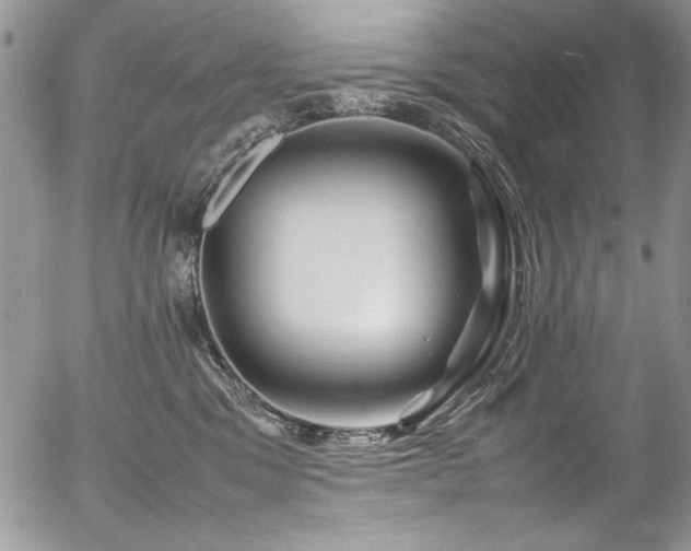 X0000054470329200507291353