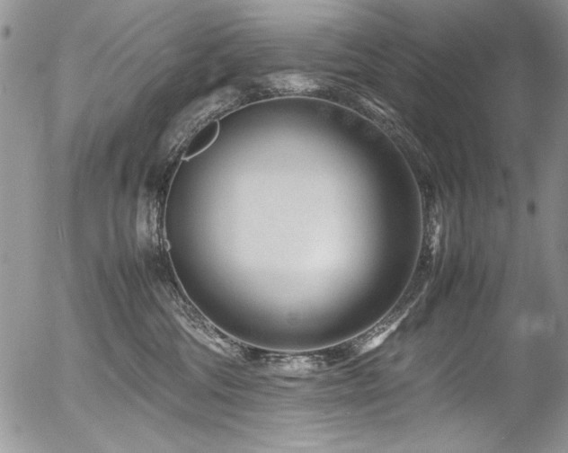 X0000054470330200507291353
