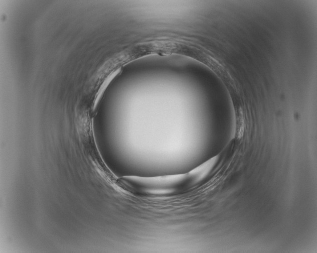 X0000054470333200507291353