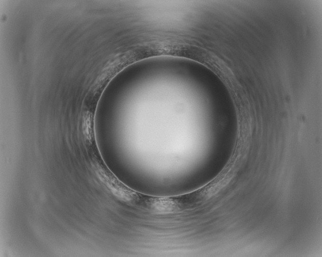 X0000054470336200507291353