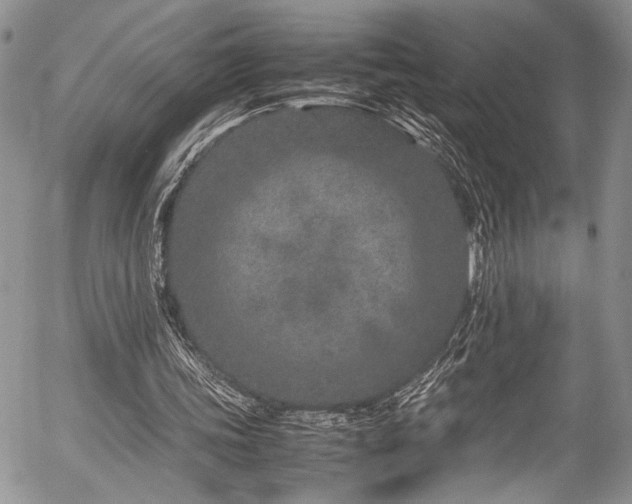 X0000054470339200507291353