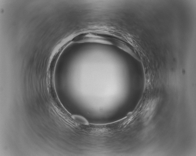 X0000054470342200507291353