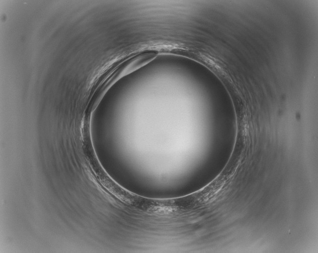 X0000054470352200507291353