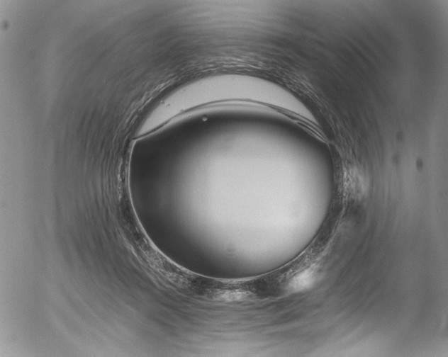 X0000054470360200507291353