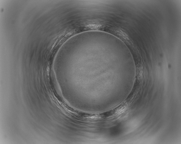 X0000054470365200507291353