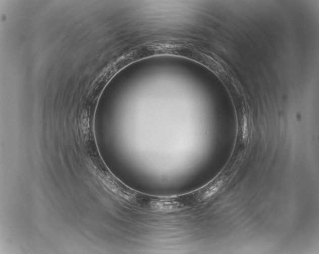 X0000054470372200507291353