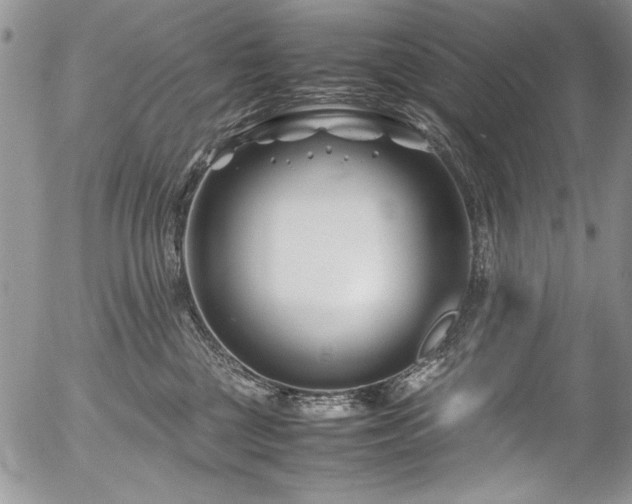 X0000054470377200507291353