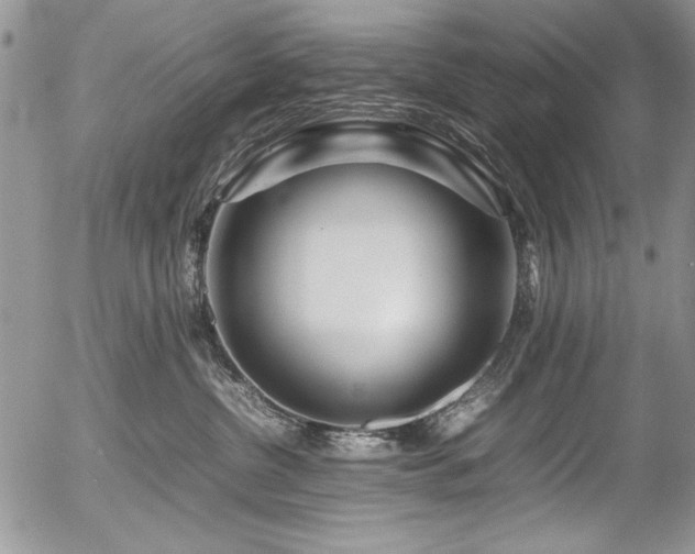 X0000054470380200507291353
