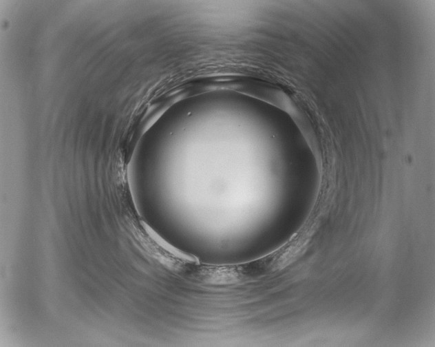 X0000054470384200507291353