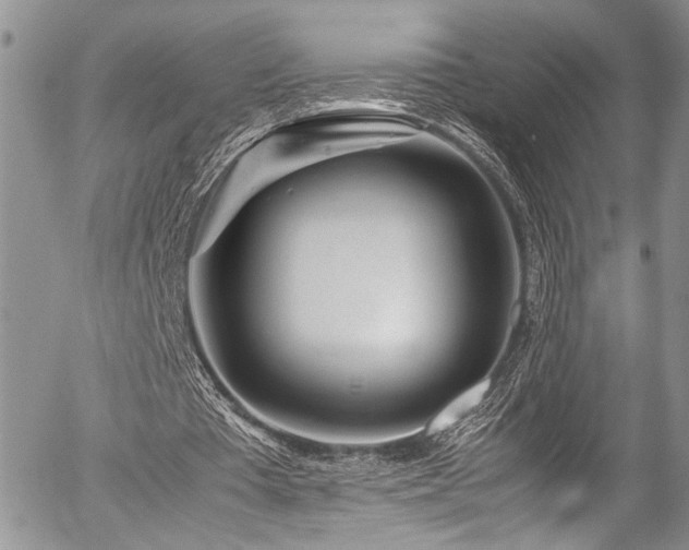X0000054470385200507291353
