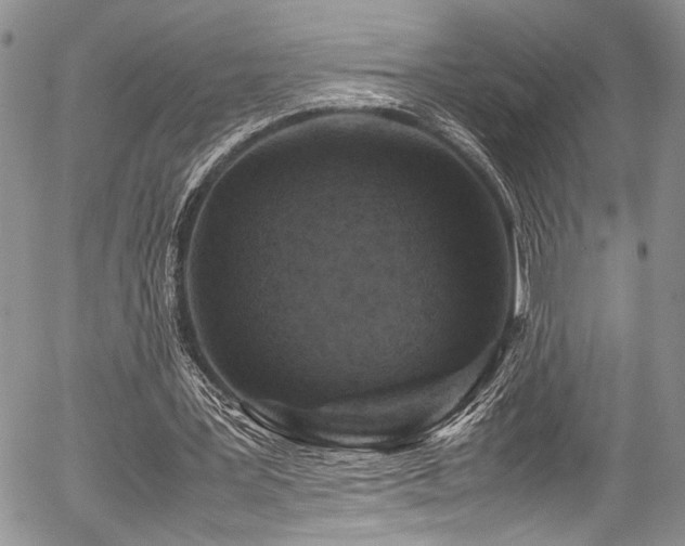 X0000054470387200507291353