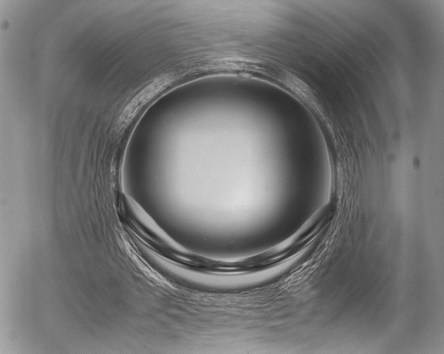 X0000054470389200507291352