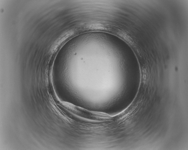 X0000054470390200507291352