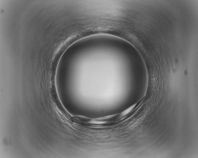 X0000054470395200507291352