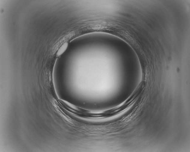 X0000054470397200507291352