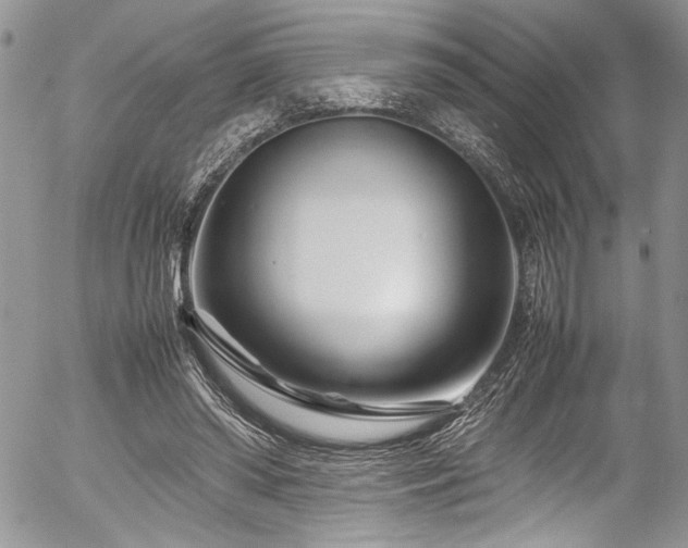 X0000054470398200507291352