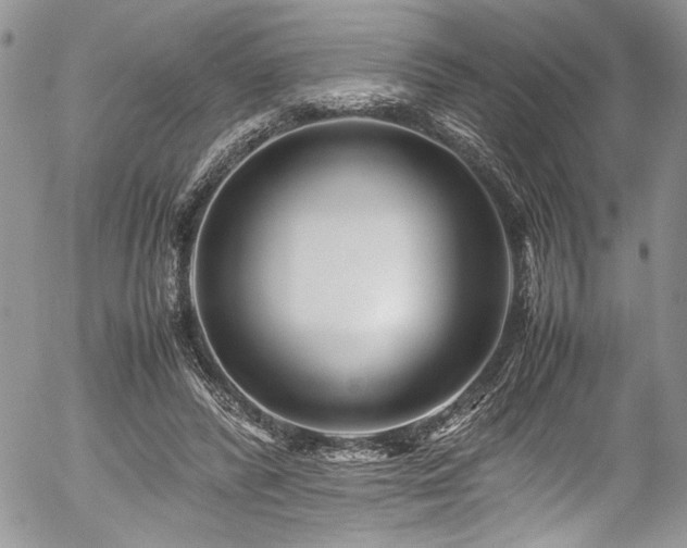 X0000054470400200507291352