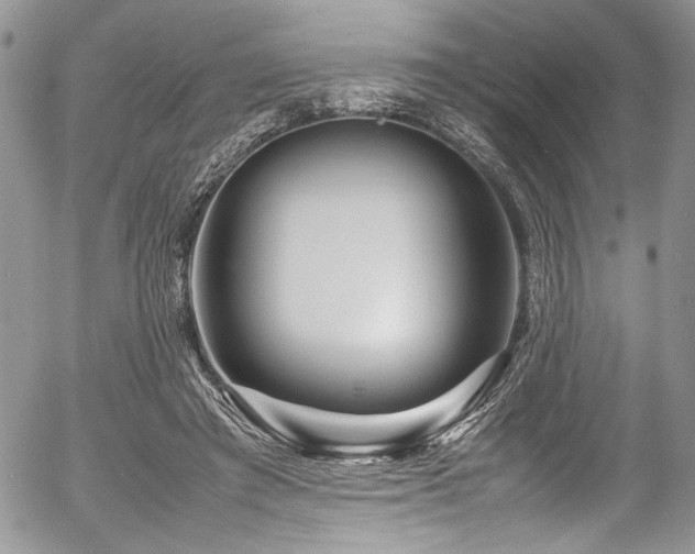 X0000054470401200507291352
