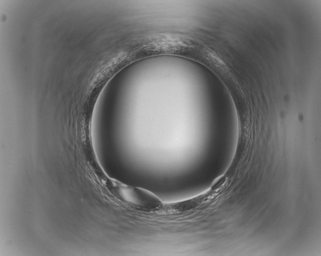 X0000054470403200507291352