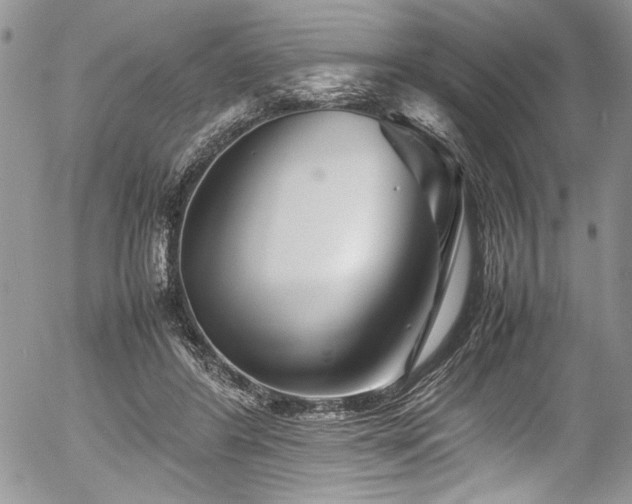 X0000054470404200507291352